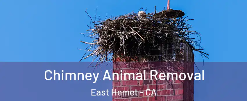 Chimney Animal Removal East Hemet - CA