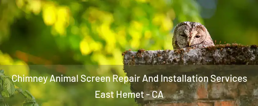 Chimney Animal Screen Repair And Installation Services East Hemet - CA