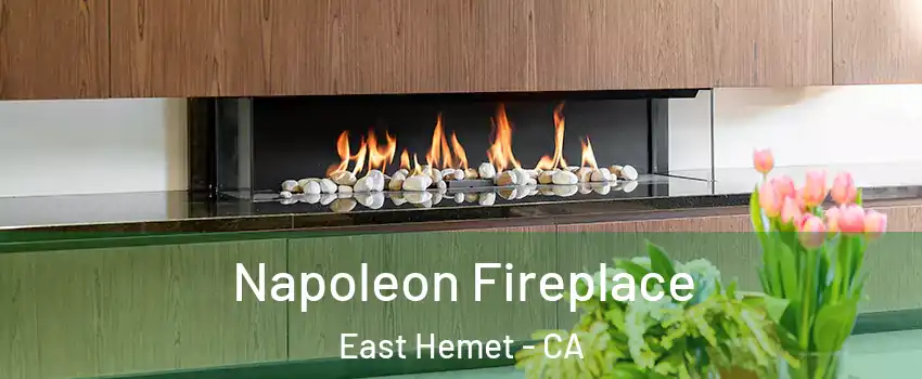 Napoleon Fireplace East Hemet - CA