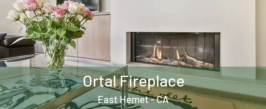 Ortal Fireplace East Hemet - CA